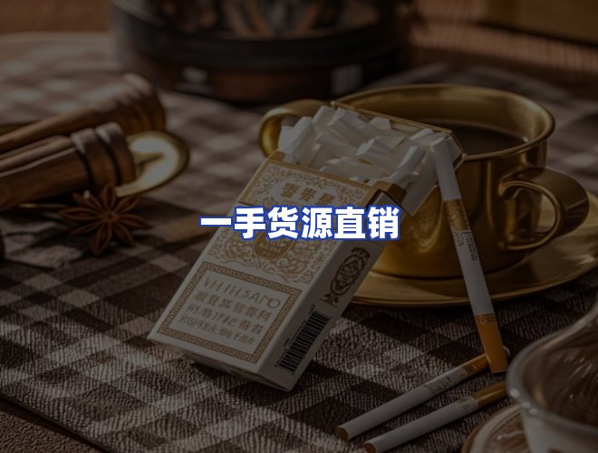 专业团队